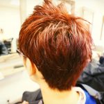 【ダブルカラー】赤髪  アジアンカラー