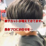 親子カットが増えてきています。是非プロにお任せを。